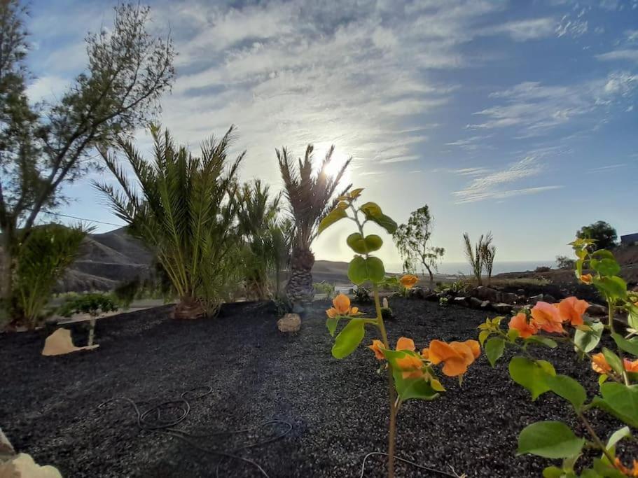 Casagrande Sunset II - Fuerteventura - Costa Calma Βίλα Pájara Εξωτερικό φωτογραφία